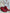 BOTAS GREASE RED