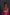 BRA TRUJI NEON
